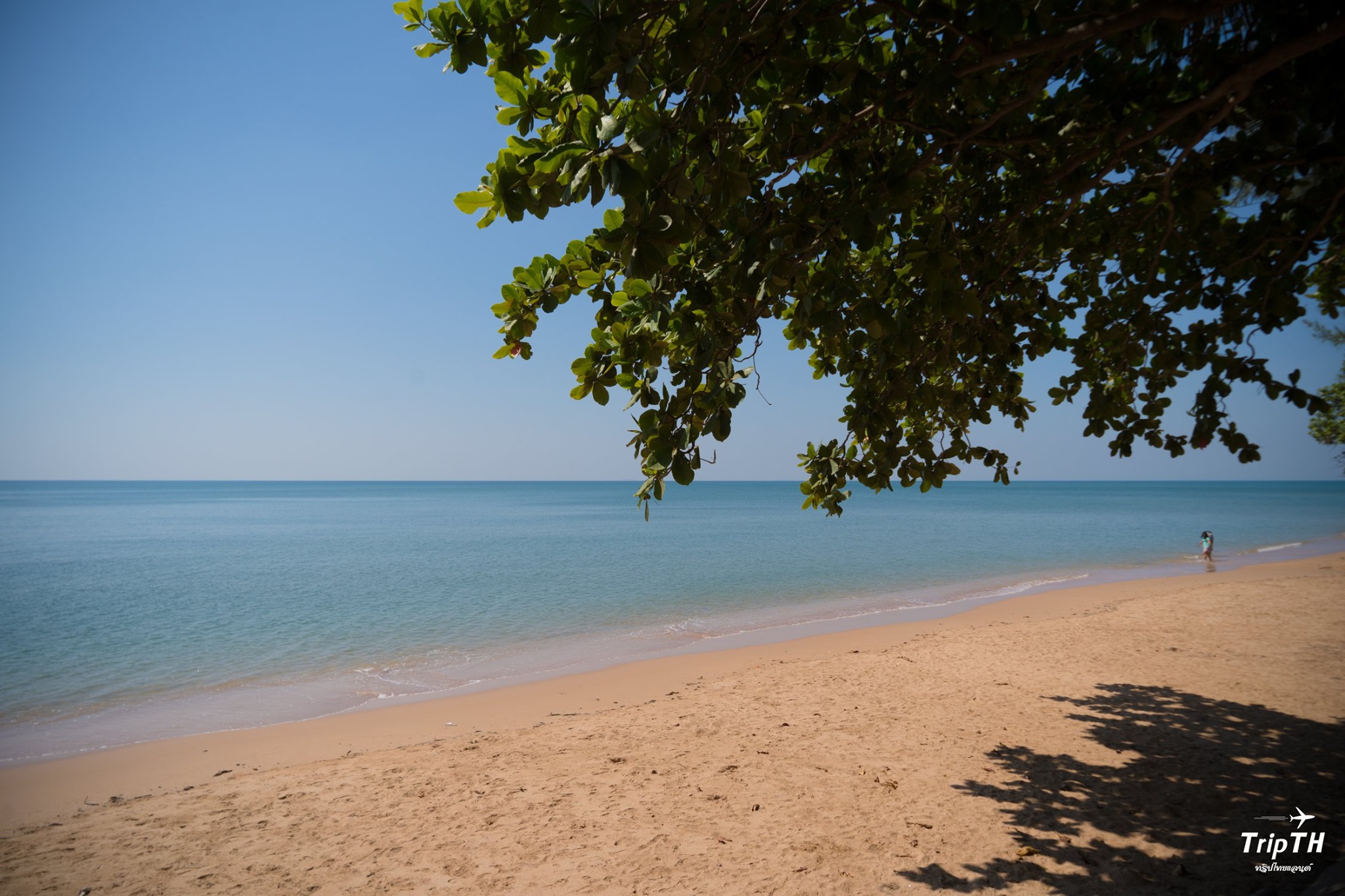 เที่ยวหาดคุ้งวิมาน