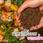 น้ำหมักชีวภาพ จากเศษอาหาร