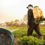 น้ำหมักชีวภาพ สูตรควบคุมและกำจัดหญ้า