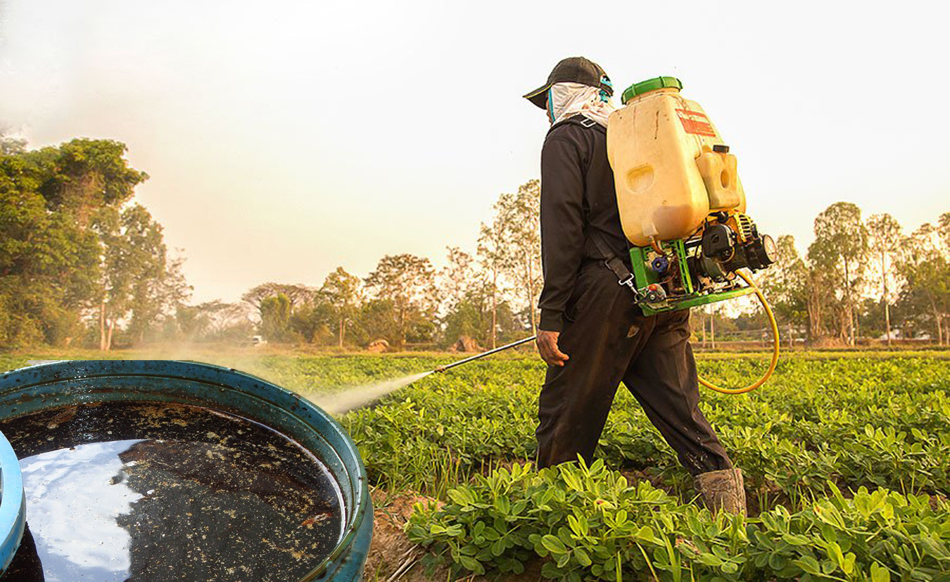 น้ำหมักชีวภาพ สูตรควบคุมและกำจัดหญ้า