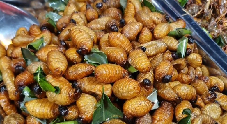 ด้วงสาคู