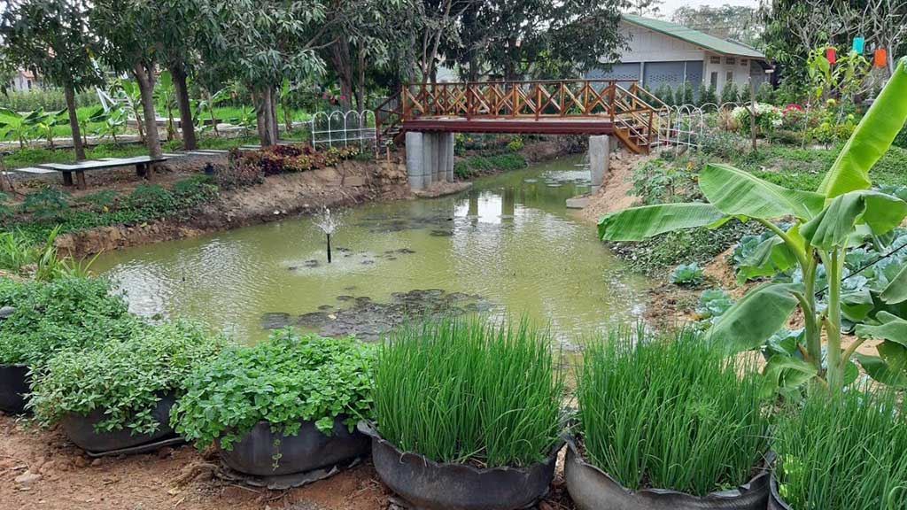 ข้อคิดก่อนทำการเกษตร