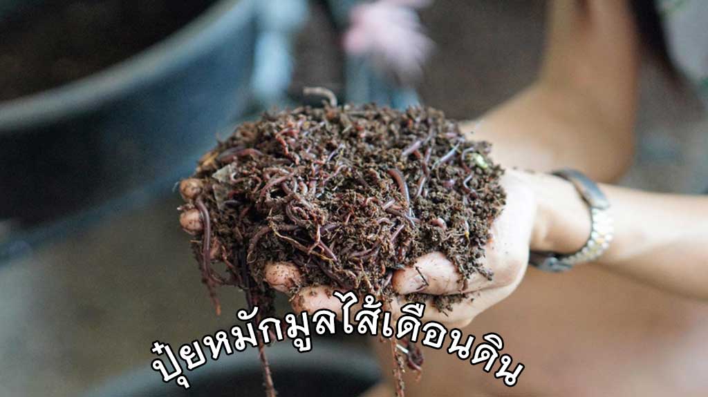 ปุ๋ยหมักมูลไส้เดือนดิน