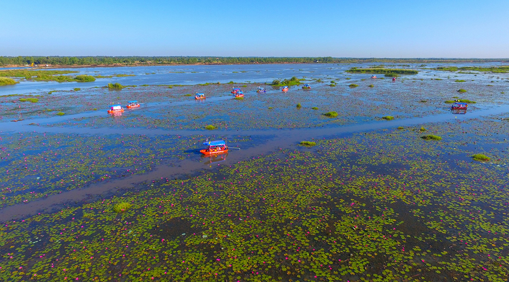 ทะเลบัวแดง หนองหานกุมภวาปี