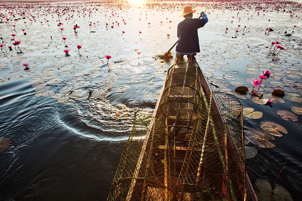 ทะเลบัวแดง หนองหานกุมภวาปี